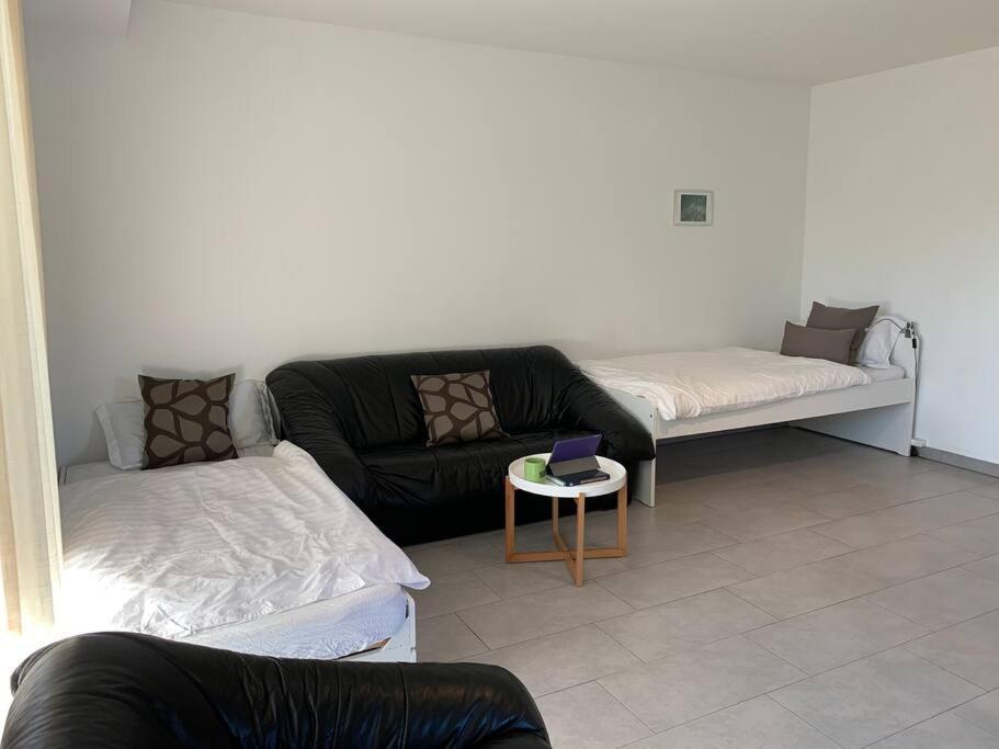 60Qm Zweizimmerwohnung Im Raum Stuttgart Oberriexingen エクステリア 写真